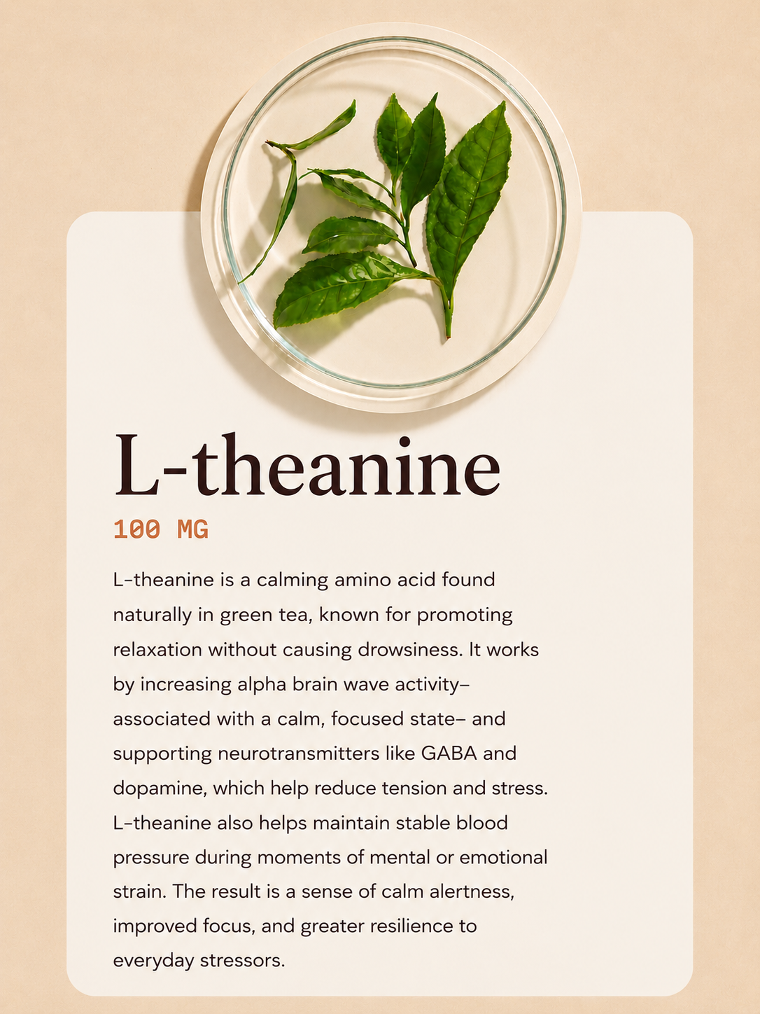 L-theanine ingredient